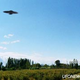 Image for article titled Alien Swarms Descend On Camera-Happy Argentina